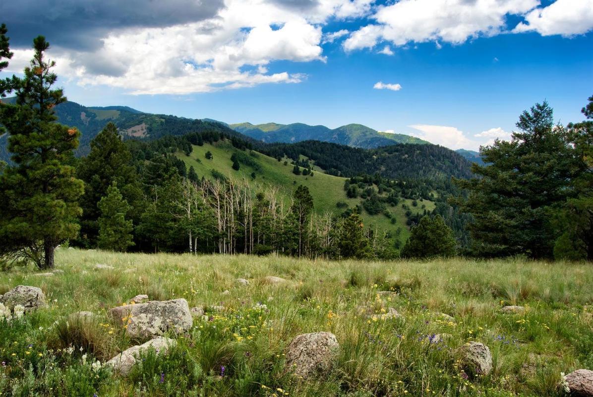 Perfect Cabin, 2 Bedrooms, Fireplace, Midtown, Sleeps 5 Ruidoso Exteriér fotografie