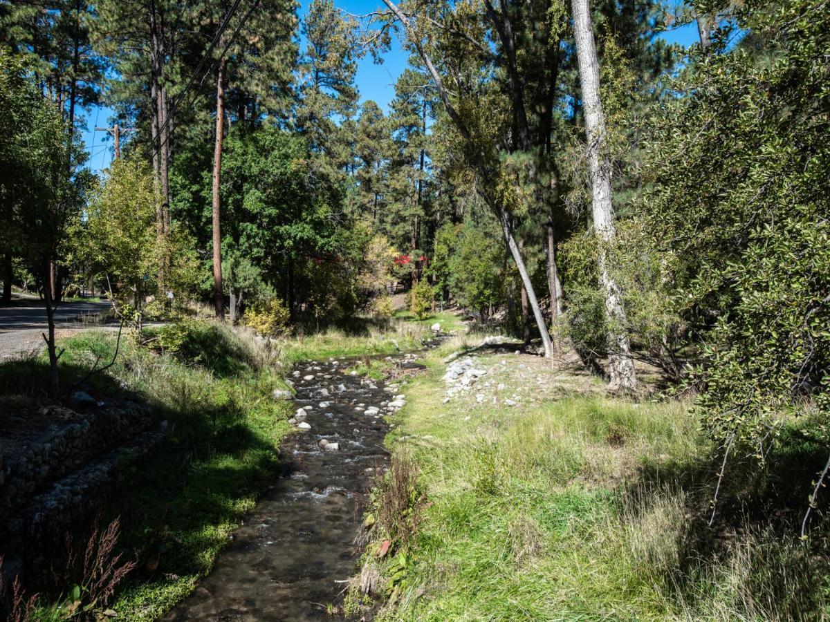 Perfect Cabin, 2 Bedrooms, Fireplace, Midtown, Sleeps 5 Ruidoso Exteriér fotografie